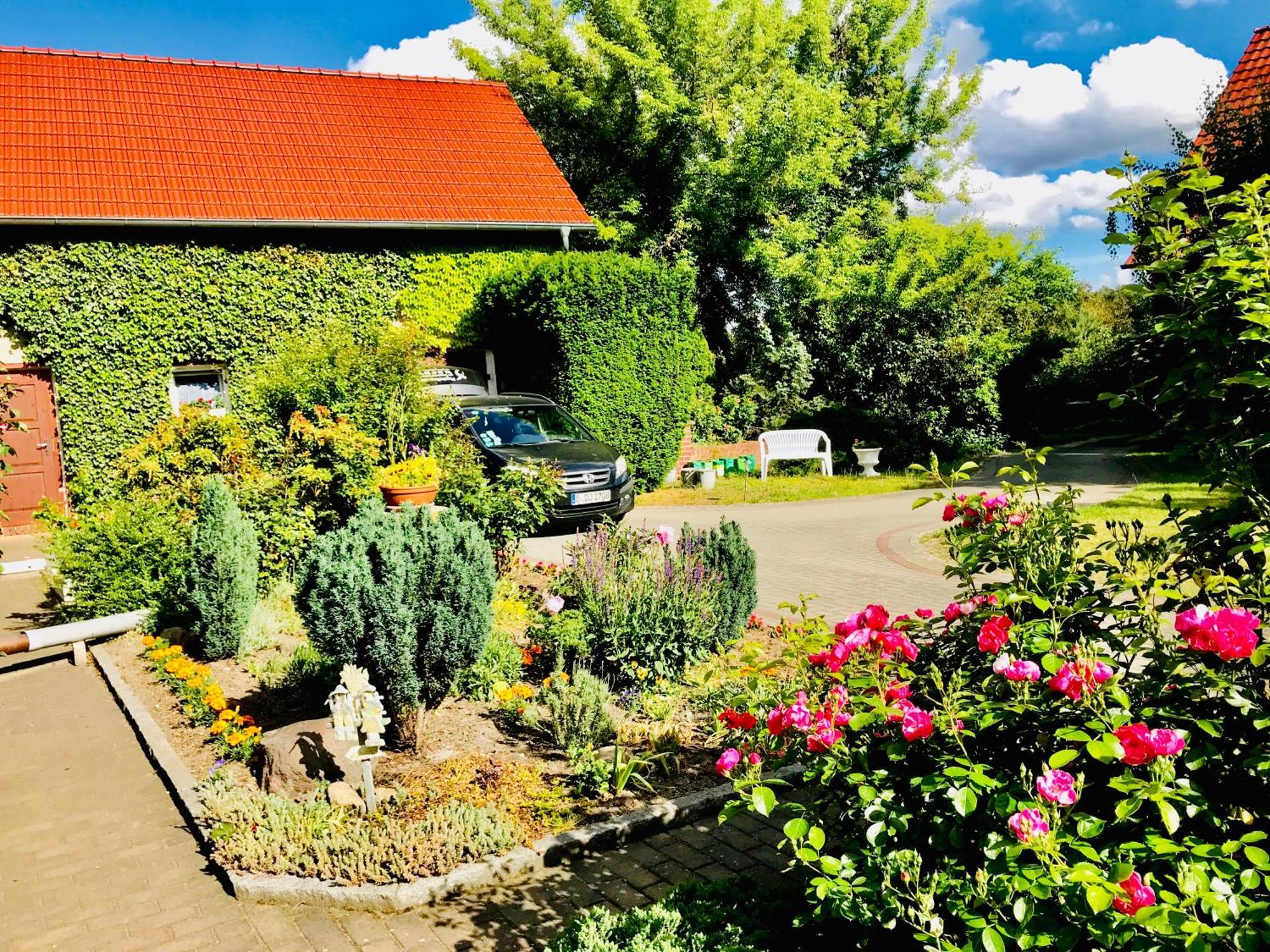 Top-Moderne Ferienwohnung Und Apartments Auf Frueherem Wunderschoenen Bauernhof Im Elbe-Elster-Kreis In Brandenburg Bei Herzberg-Elster, Schoenewalde, Holzdorf Exterior foto